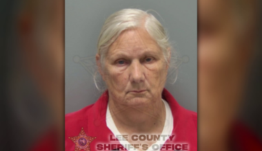 Fort Myers nurse sentenced to 30 months in prison; accused of child neglect | Lee County