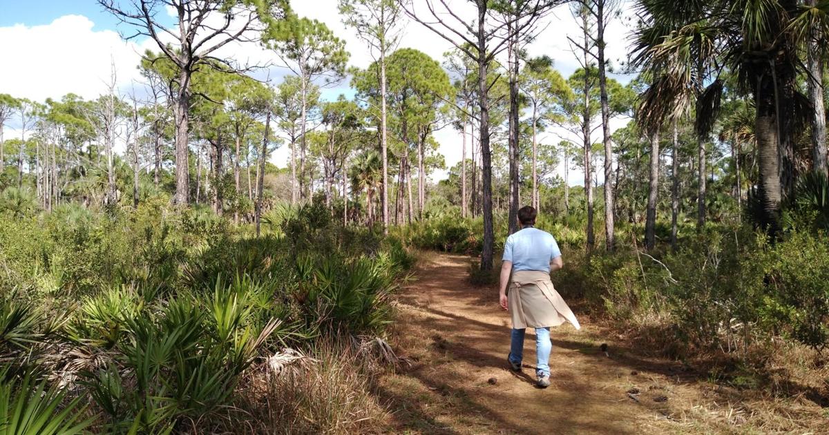 WATERLINE: Master Naturalist program to begin | Waterline