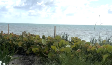Afternoon storms possible on Key Biscayne | Key Biscayne