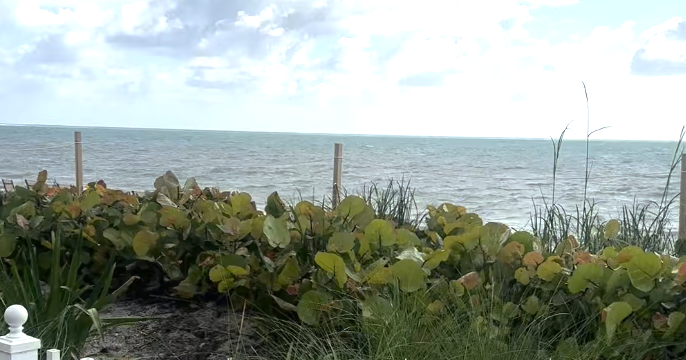 Afternoon storms possible on Key Biscayne | Key Biscayne