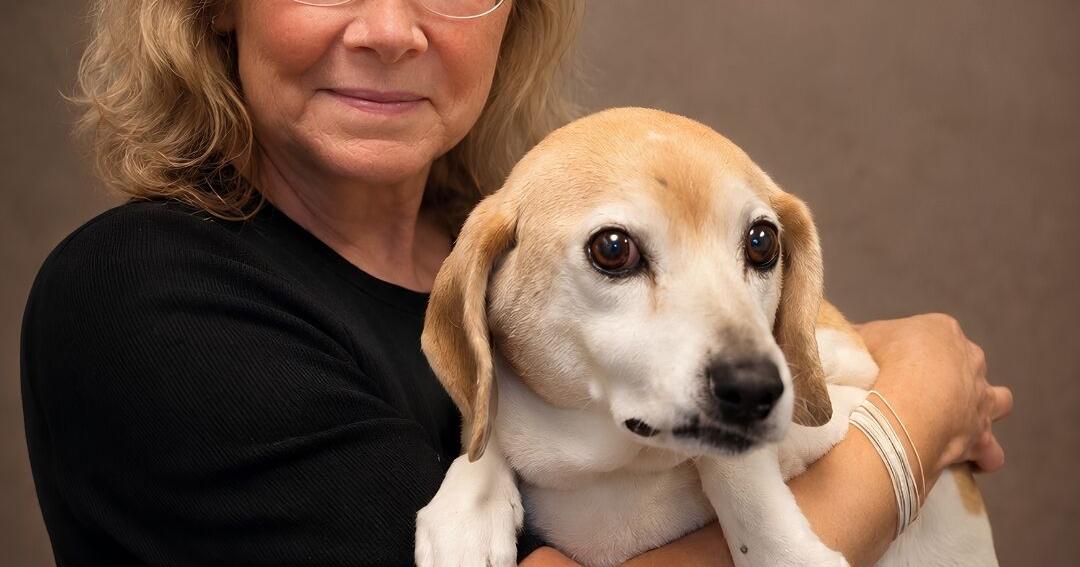 New director joins Humane Society | St. Lucie County