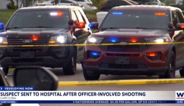Cape Coral man shot by police after officers say he pointed gun at them |