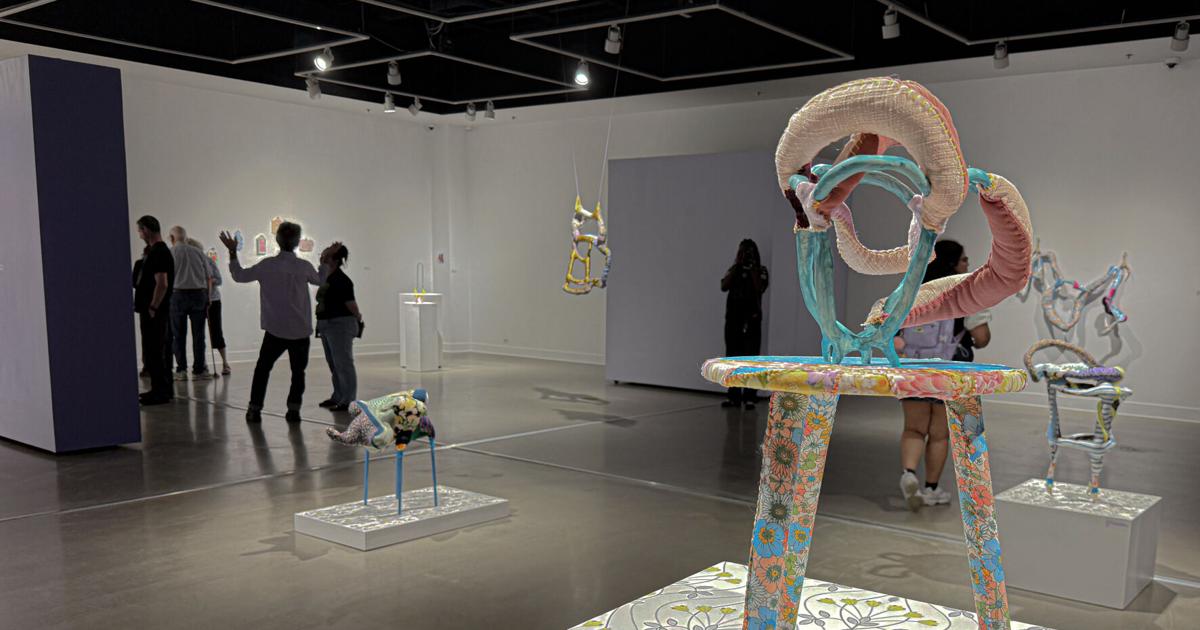 Hanna Washburn's "Connective Tissue" opens at the UCF Art Gallery | Life