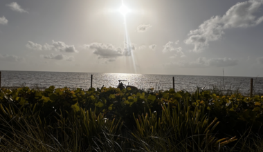 Sunny start to Sunday on Key Biscayne | Key Biscayne
