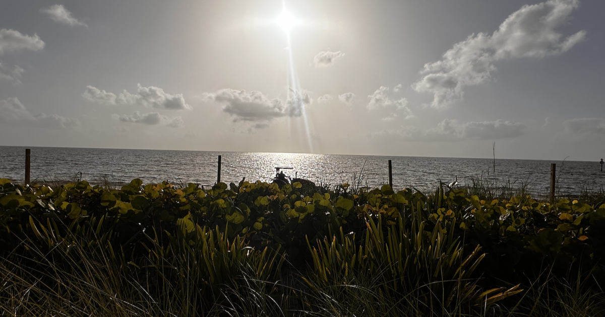 Sunny start to Sunday on Key Biscayne | Key Biscayne
