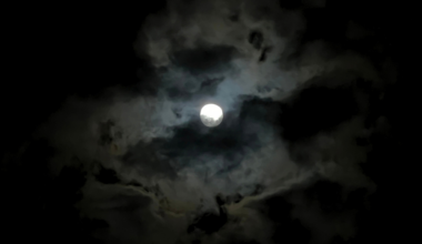 Under the moon: discover the Park After Dark | Key Biscayne