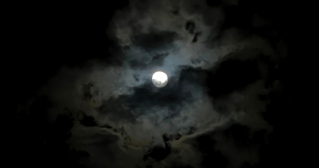 Under the moon: discover the Park After Dark | Key Biscayne