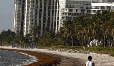 Sunny Monday ahead for Key Biscayne | Key Biscayne