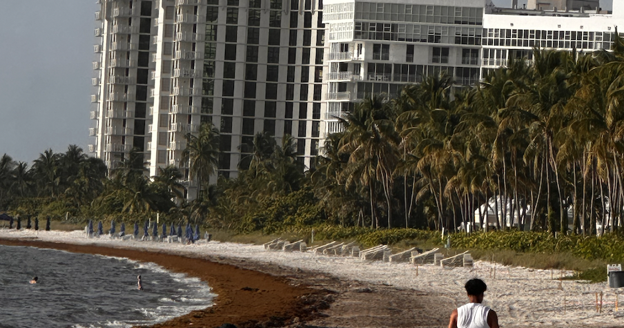 Sunny Monday ahead for Key Biscayne | Key Biscayne
