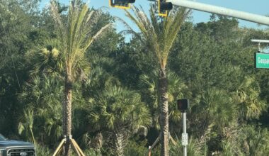 Stakes are set for taxpayers, trees | Port Charlotte News