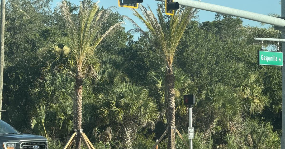 Stakes are set for taxpayers, trees | Port Charlotte News