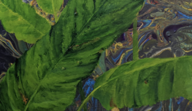 Art classes for adults 55 and older offered in Key Biscayne | Key Biscayne