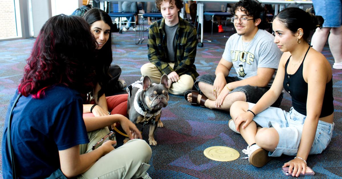 Students welcome UCFPD dog Luna | News