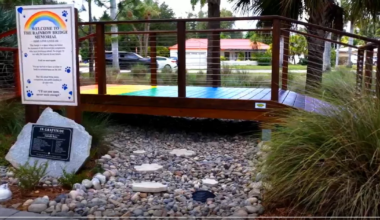 Rainbow Bridge Pet Memorial opens in SWFL to honor lost pets | Lee County