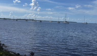 Biscayne Bay still plagued by pollution despite millions in funding | Miami
