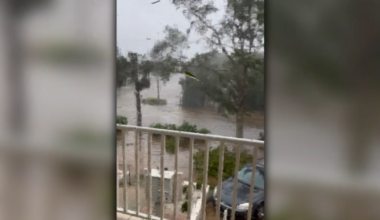 Sanibel woman huddled in bathroom with her dog as Hurricane Ian flooded her home | News Special
