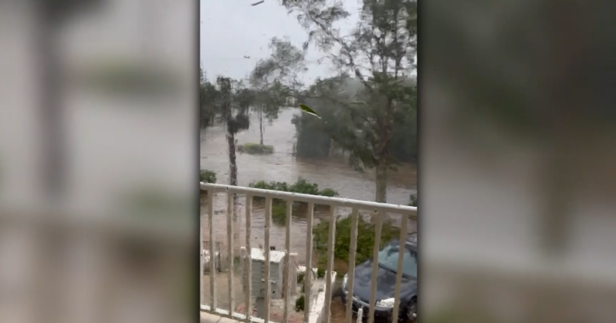 Sanibel woman huddled in bathroom with her dog as Hurricane Ian flooded her home | News Special