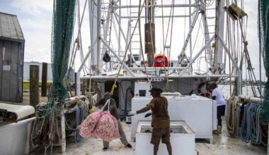 Southwest Florida shrimpers rely on tradition to stay afloat | News
