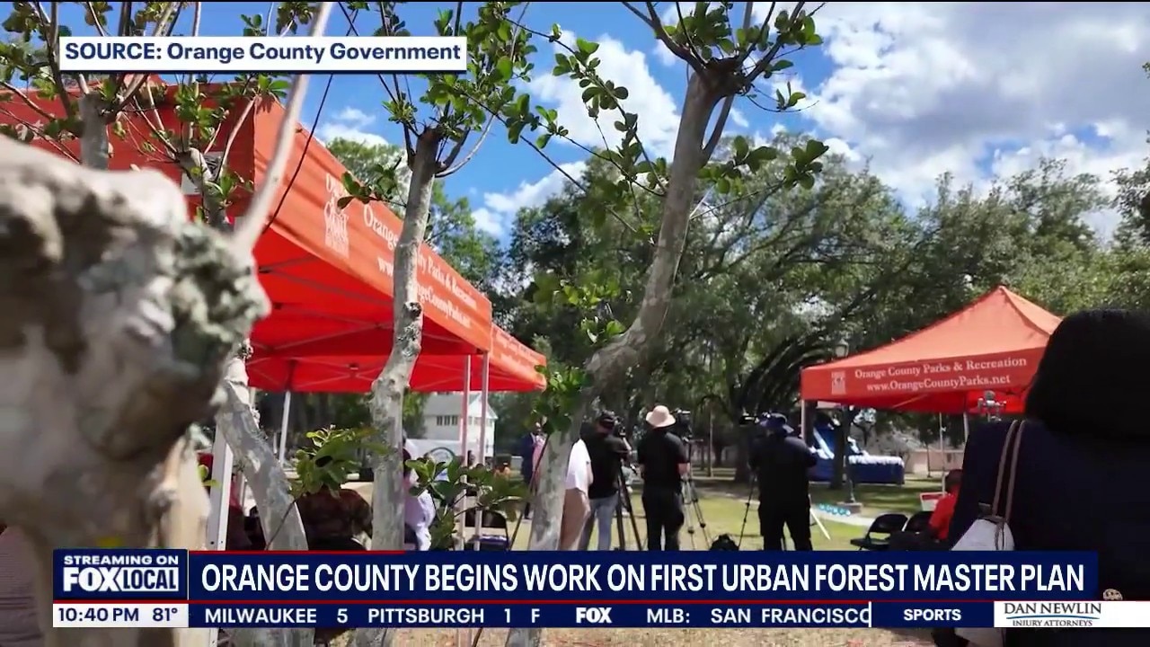 Orange County launches first Urban Forest Master Plan
