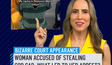 What led to that bizarre court appearance!?! A Fort Lauderdale woman accused of stealing a marked Broward Sheriff's Office vehicle made a strange appearance in bond court following her arrest. Shannon Marie Dillon, 42, was taken into custody Tuesday night after the Dodge Charger was stolen from the public parking lot area of the Public Safety Building, authorities said. St. Lucie County Sheriff's Office deputies and Florida Highway Patrol troopers learned the vehicle was traveling northbound on Interstate 95, and it was found abandoned on the Gatlin Boulevard off-ramp. #police #court #stolen #fortlauderdale #viral