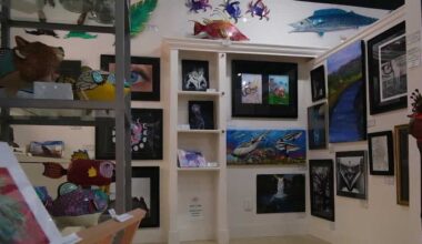 Florida students take over gallery walls in Cape Coral