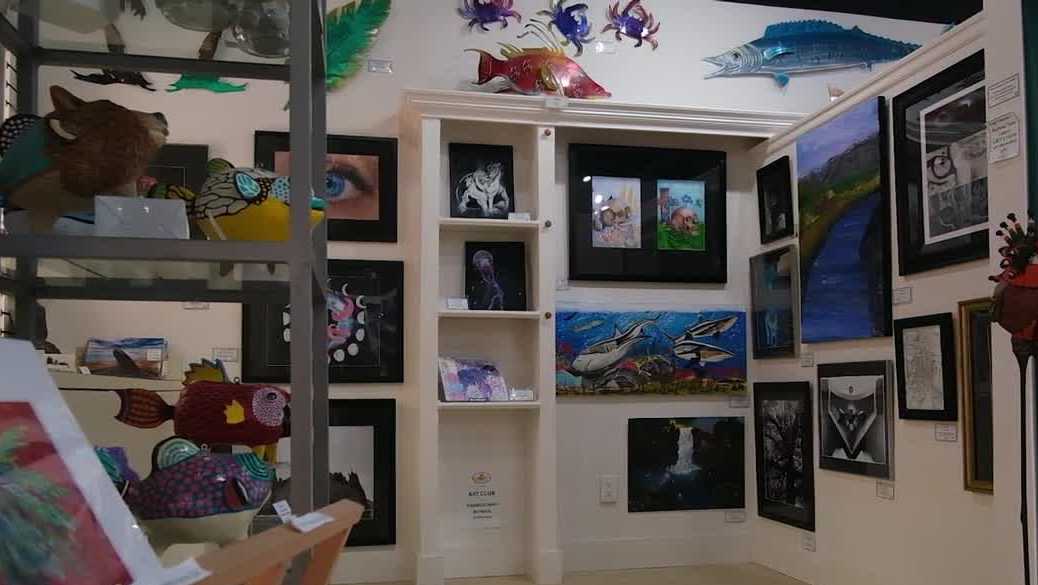 Florida students take over gallery walls in Cape Coral