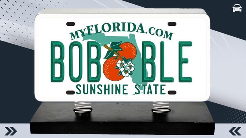 A dozen new Florida laws are set to take effect Oct. 1, covering everything from license plates and pretrial release to animal cruelty and rental fraud. (WPEC)