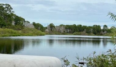 Martin County toddler drowns on family property