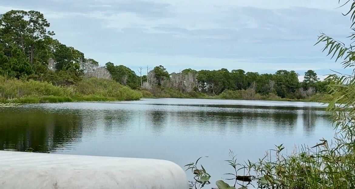 Martin County toddler drowns on family property