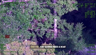 Two Florida boaters needed rescue after their boat capsized and floated downriver, leaving them stranded in a tree. At about 3:30 p.m. Tuesday, the Hillsborough County Sheriff’s Office responded to Morris Bridge Park, deputies said. HCSO aerial video shows the boaters stranded in the tree as they waited for law enforcement to rescue them. The sheriff’s office said they were about 3,000 feet downriver from the Hillsborough River boat launch.(HCSO)
