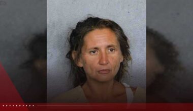 Broward sheriff's patrol car theft suspect arrested