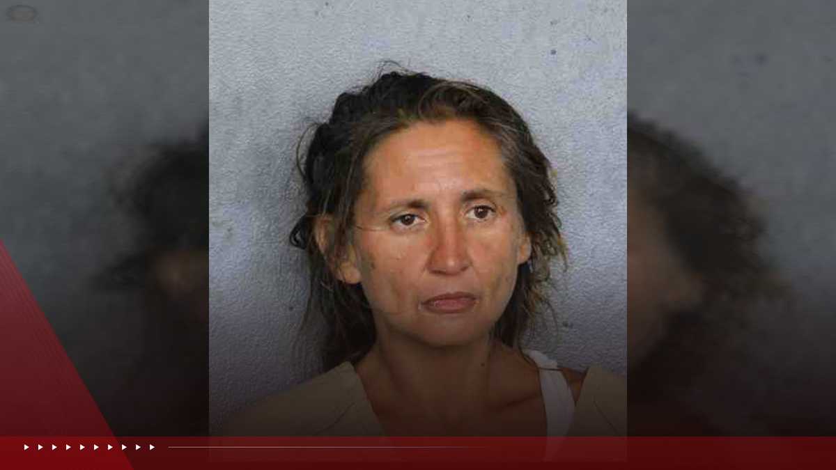 Broward sheriff's patrol car theft suspect arrested