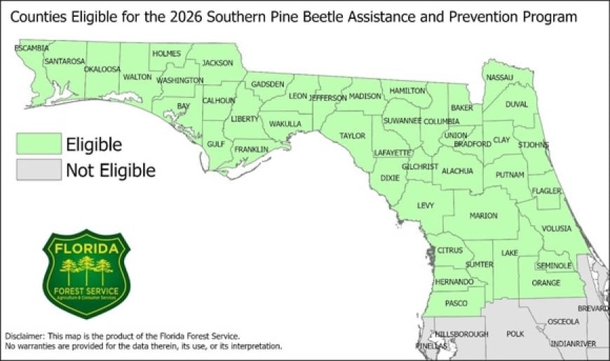 A map of Florida showing county eligibility for the 2026 Southern Pine Beetle Assistance and Prevention Program.