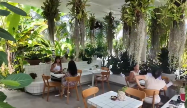 Little River coffee shop brings outdoor garden and art studio to Miami - WSVN 7News | Miami News, Weather, Sports