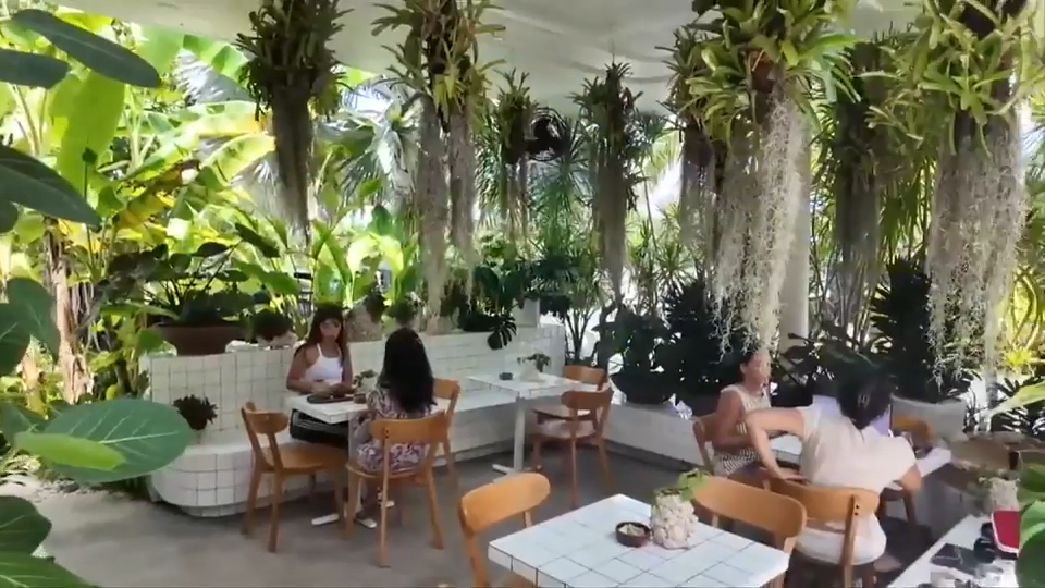 Little River coffee shop brings outdoor garden and art studio to Miami - WSVN 7News | Miami News, Weather, Sports