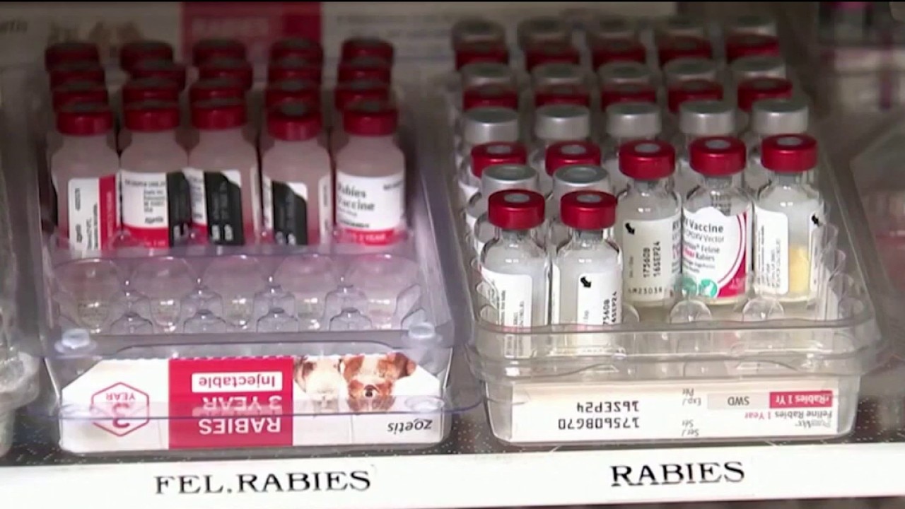 CDC warns of nationwide increase in rabies cases