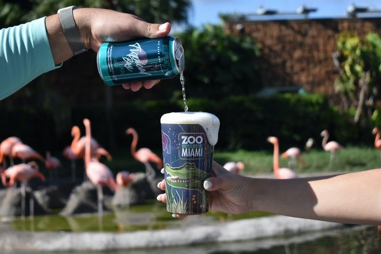 Partnership brewing to support Florida’s flamingo conservation