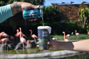 Partnership brewing to support Florida’s flamingo conservation