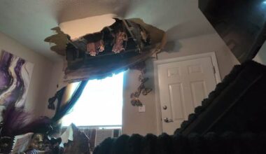 Jacksonville resident raises concerns about Calloway Cove apartment conditions