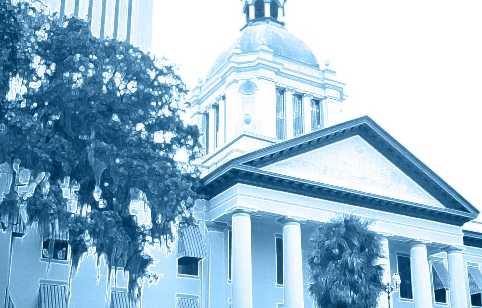 Blue Tally Takeaways (1)