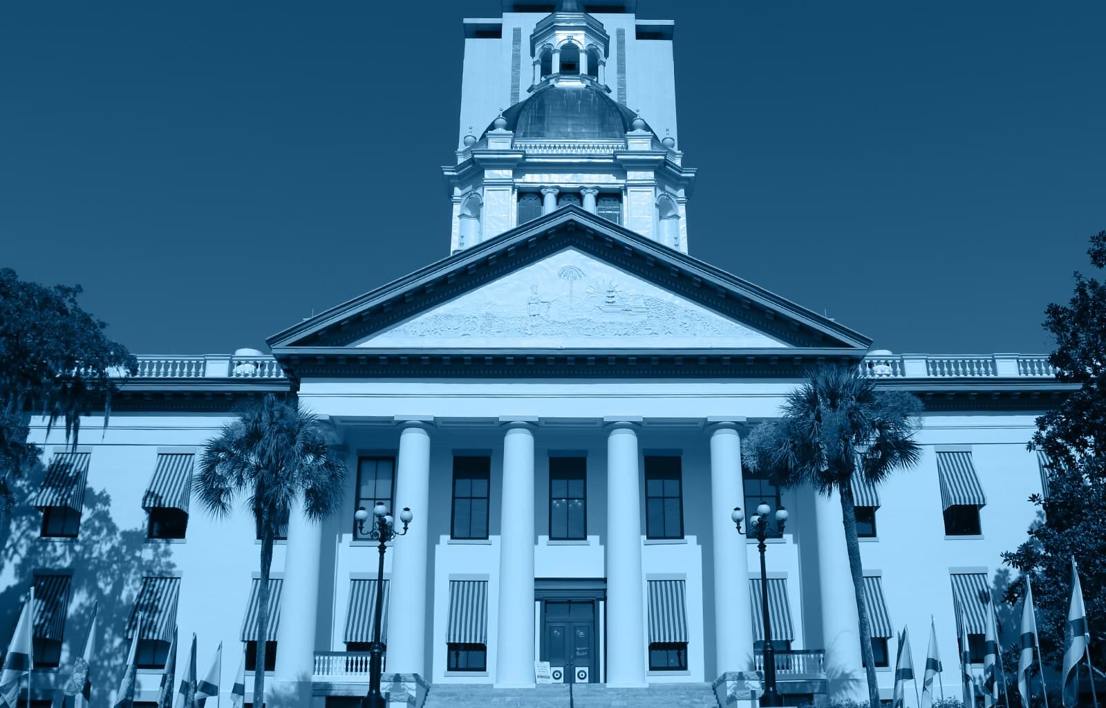 Blue Tally Takeaways (4)