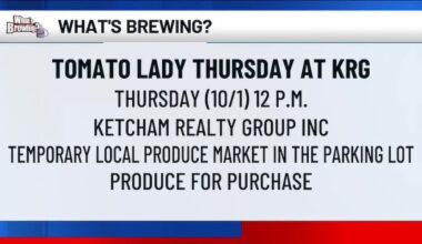 What’s Brewing - Tomato Lady Thursdays