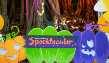 Busch Gardens Tampa Bay brings back Spooktacular with new faces, festive fun