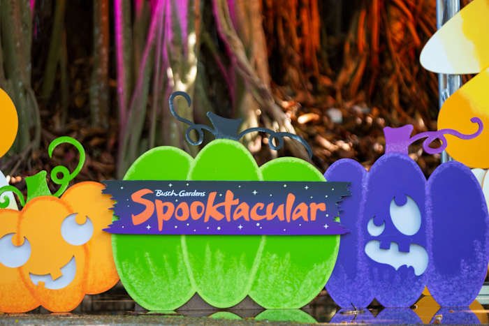 Busch Gardens Tampa Bay brings back Spooktacular with new faces, festive fun