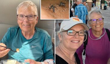 Florida woman, 80, dies from dengue fever on her birthday
