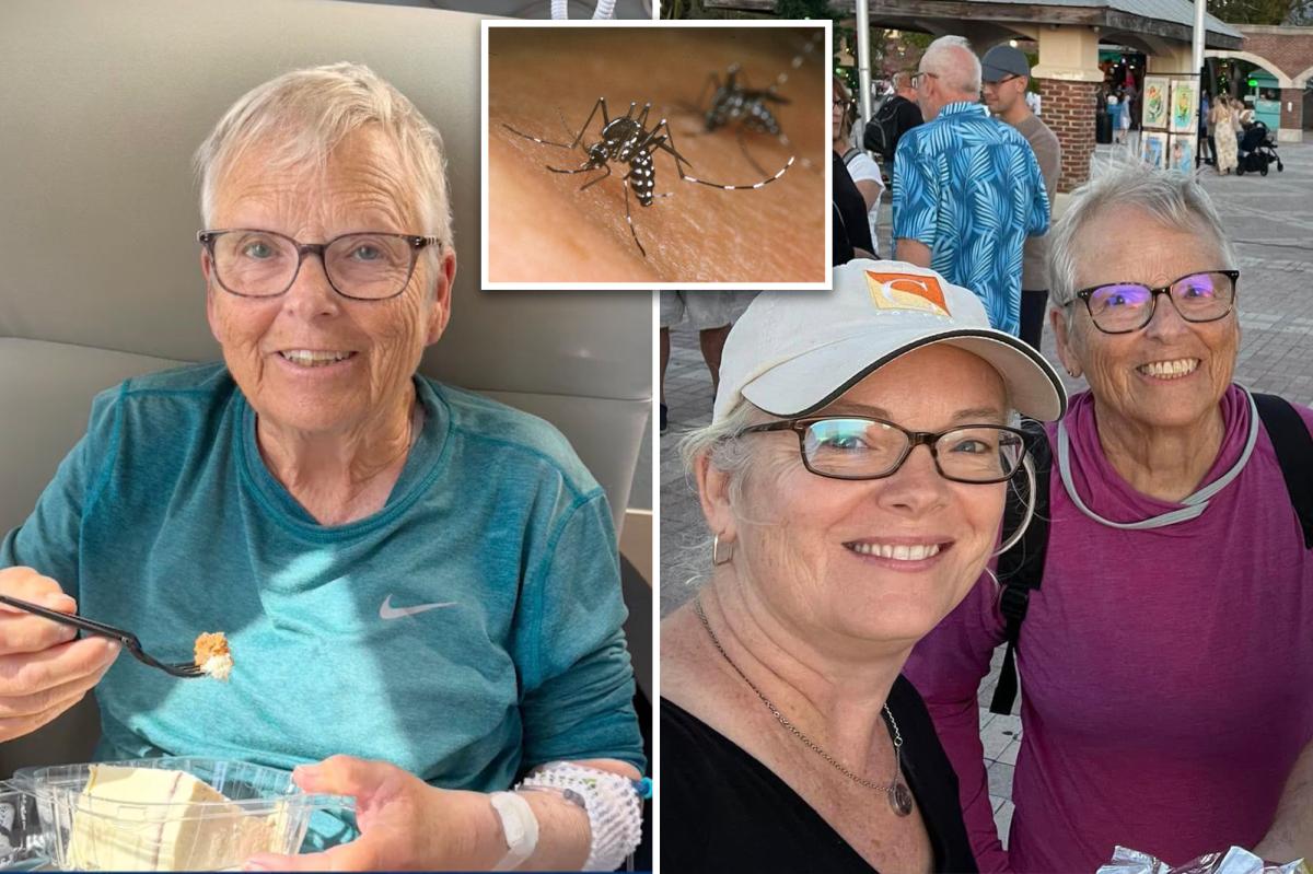 Florida woman, 80, dies from dengue fever on her birthday