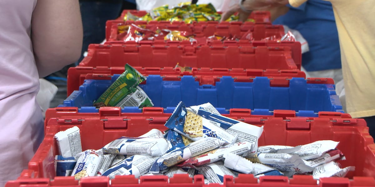 ‘Quiet as Mice’: How Palmetto seniors and ‘The Kind Mouse’ Are feeding hundreds of hungry students