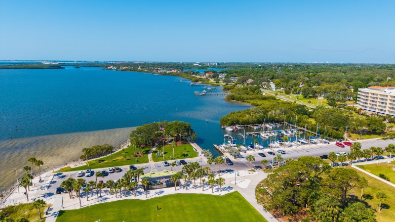 A high-angle aerial drone photograph by Drone Guy showing Safety Harbor Waterfront Park and Marina. Captured under a clear blue sky, the vibrant coastal view features a grassy green park dotted with palm trees and winding pedestrian pathways along a sandy shoreline on the left. In the center, a boat marina with docks filled with masted sailboats extends into the deep blue water of Old Tampa Bay, flanked by parking lots with cars, surrounding green foliage, and residential buildings along the waterfront.