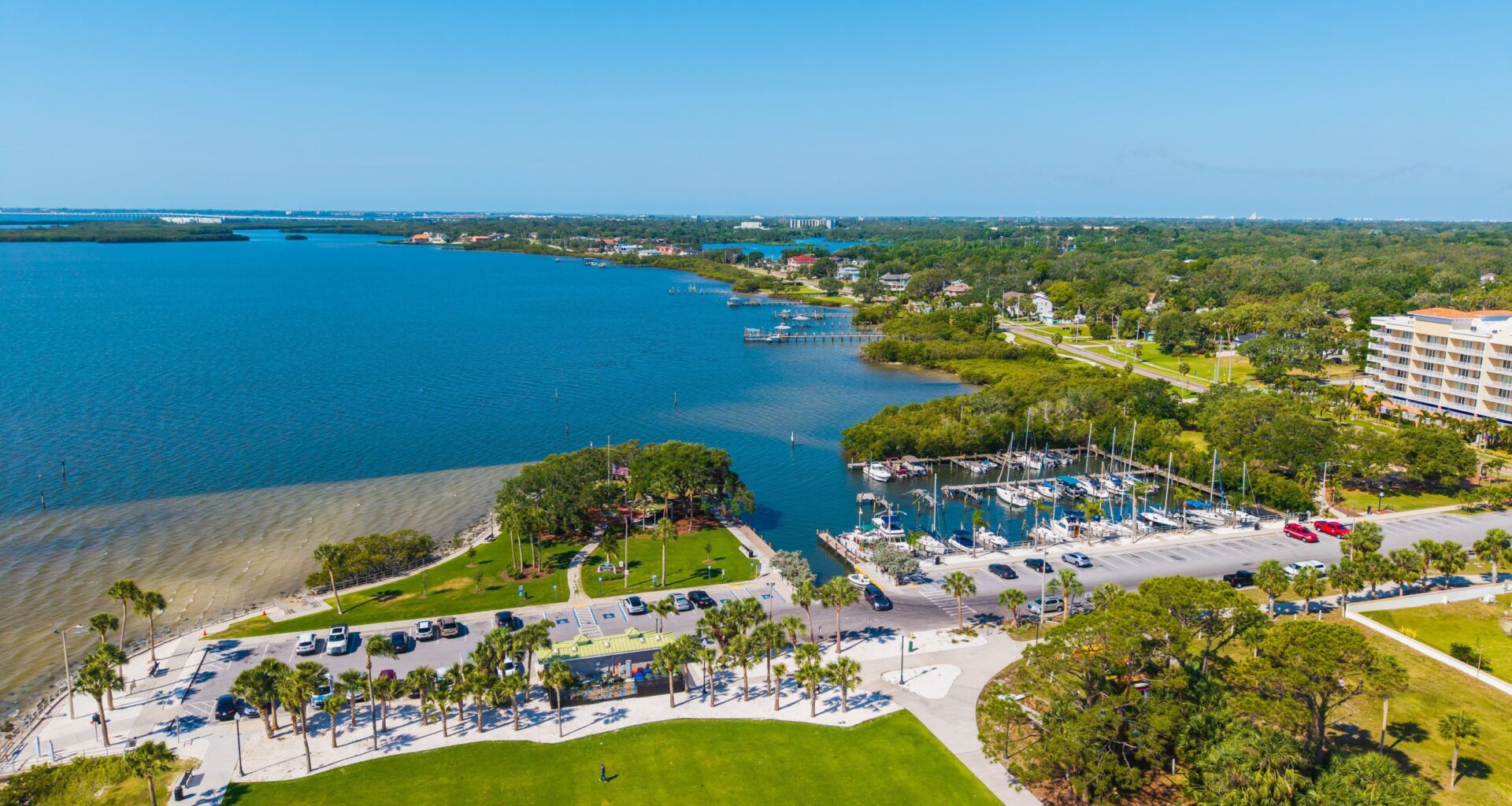 'A dagger straight through the heart': Former Safety Harbor commissioner argues against Florida's Amendment 3