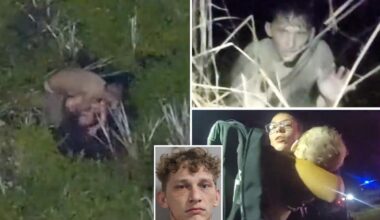 Florida DUI suspect drops baby, toddler into gator-infested swamp while running from cops: video